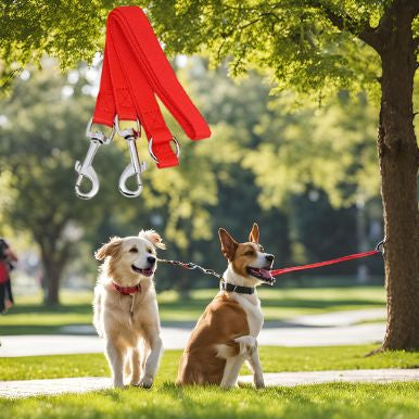 Laisse_double_pour_chien_rouge -au parc