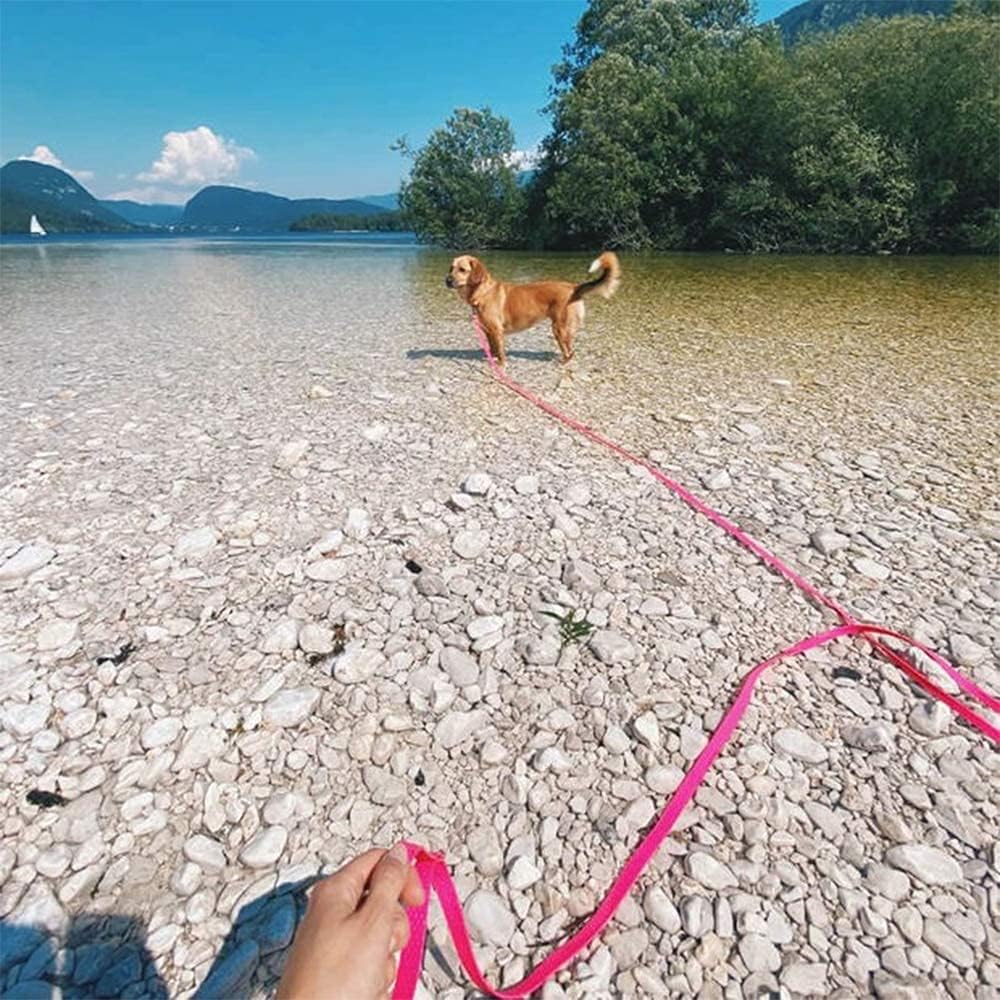 Laisse pour Chien Colorée : Élégance et Liberté pour Votre Compagnon -www.JappyToutou.com