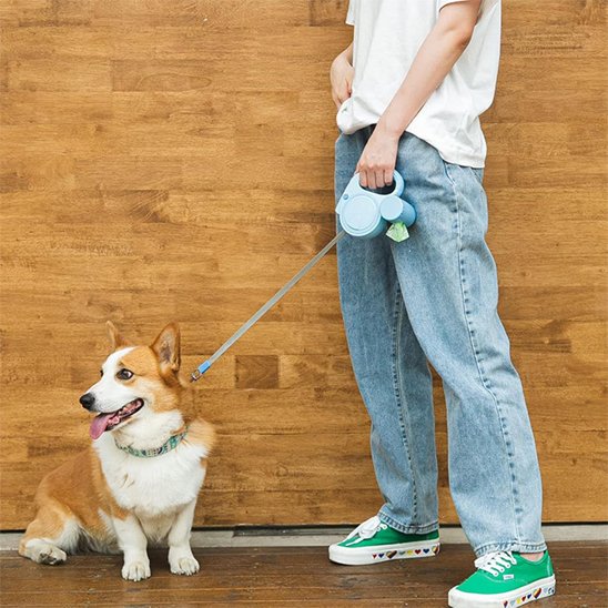 Laisse pour Chien | Robustesse™ bien choisie transforme ces moments ordinaires en souvenirs précieux.