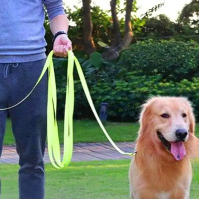 Laisse pour Chien Colorée : Élégance et Liberté pour Votre Compagnon -www.JappyToutou.com