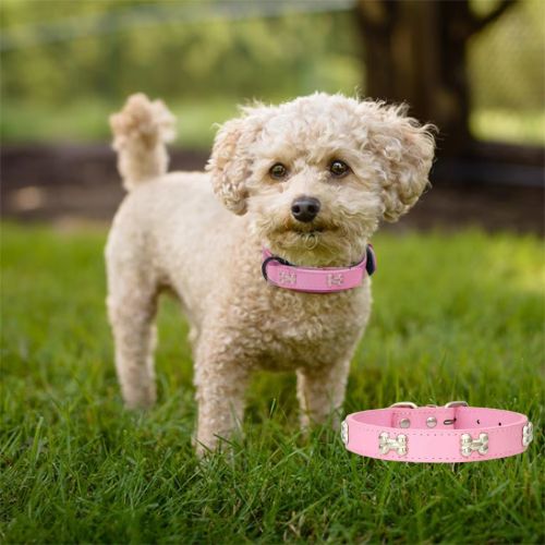 Collier en cuir pour chien Vif Doux™, L'élégante décoration en forme d'os