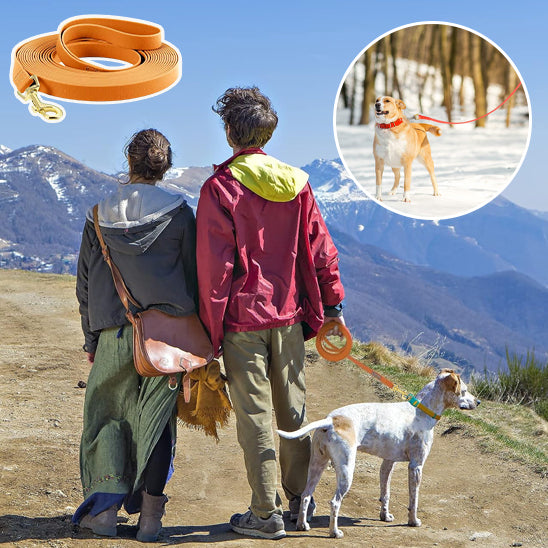 Longe chien, des Aventures Remplies de complicité