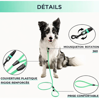 Longe pour chien • PuppyLink™ Détail