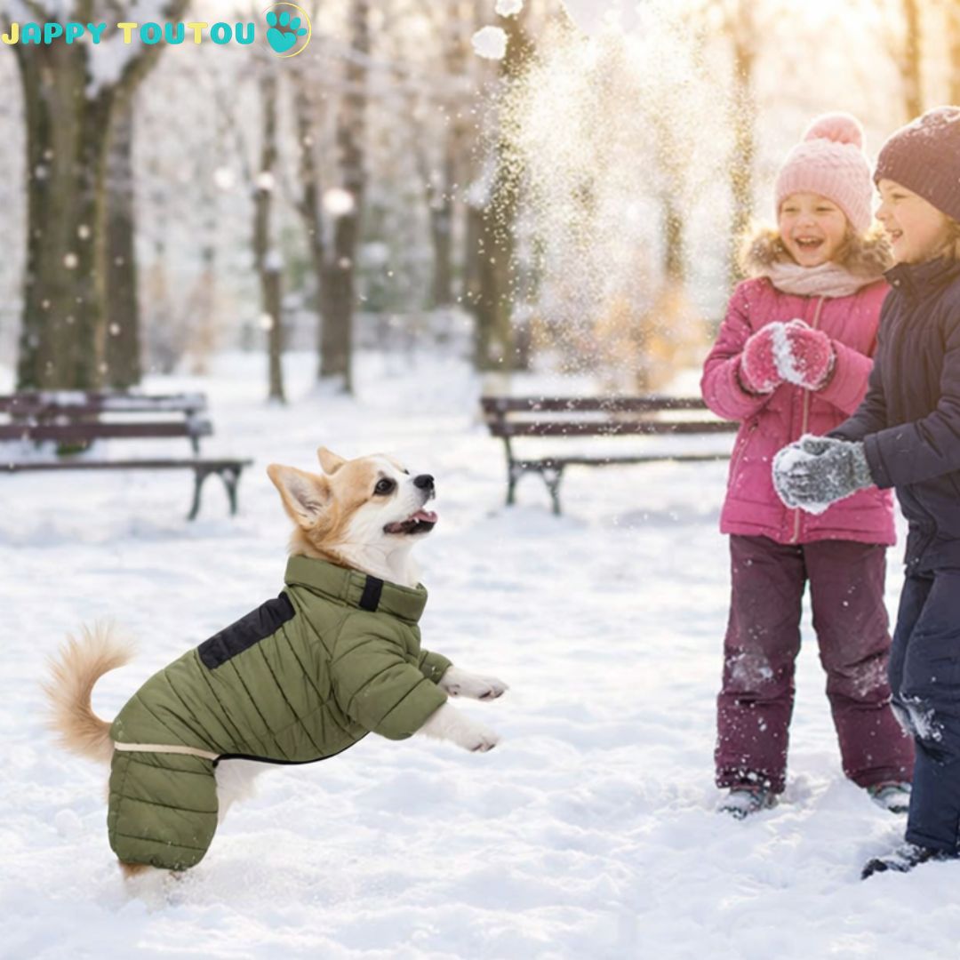 Manteau pour chien • Jappy3Polar™ petit