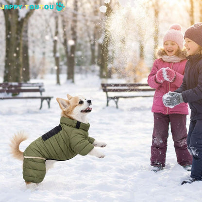 Manteau pour chien • Jappy3Polar™ petit