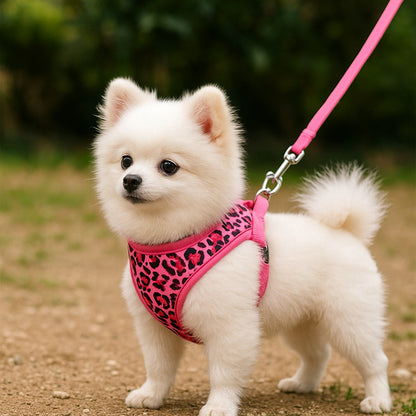 Harnais petit Chien : contrôle doux et balade sereine