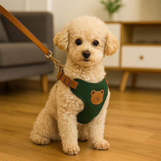 confort optimal d'un harnais pour petit chien