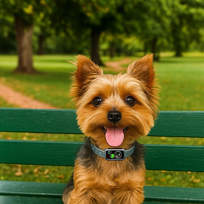 Confort et design du Collier anti aboiement petit chien | AntiBark™