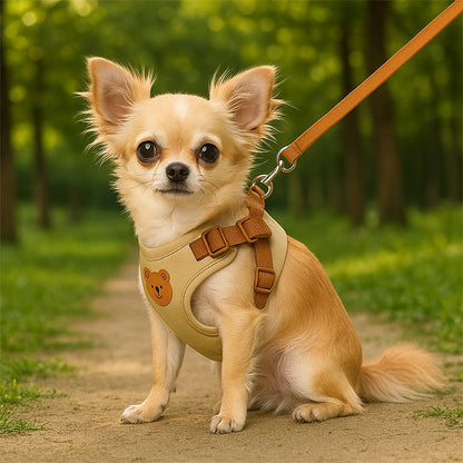 confort optimal d'un harnais pour petit chien