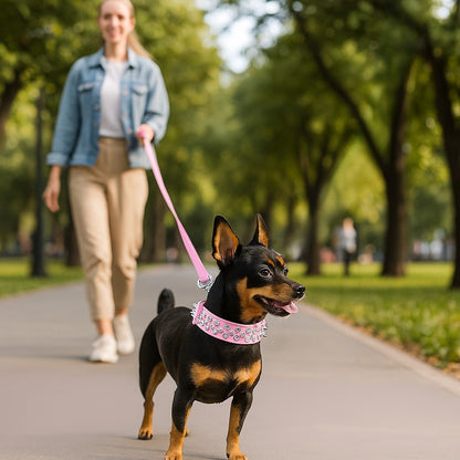 COLLIER_CHIEN_AVEC_PIQUE_chic-_PETIT