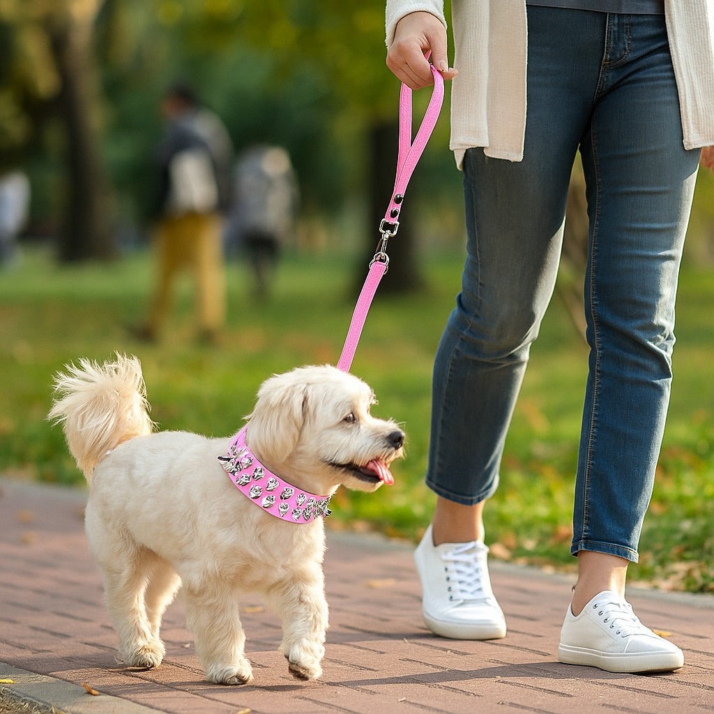 COLLIER_CHIEN_AVEC_PIQUE__PETIT magiique