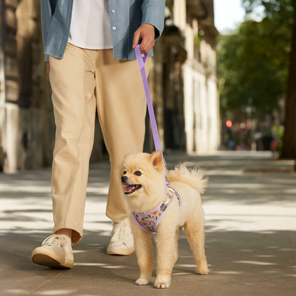 Harnais Petit Chien | Éclat Floral™ ; Des moments de complicité