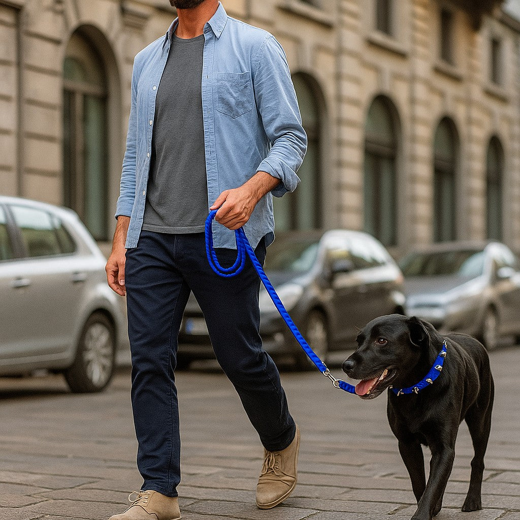 Confort quotidien avec le Collier pour chien - Bandit de Rue™