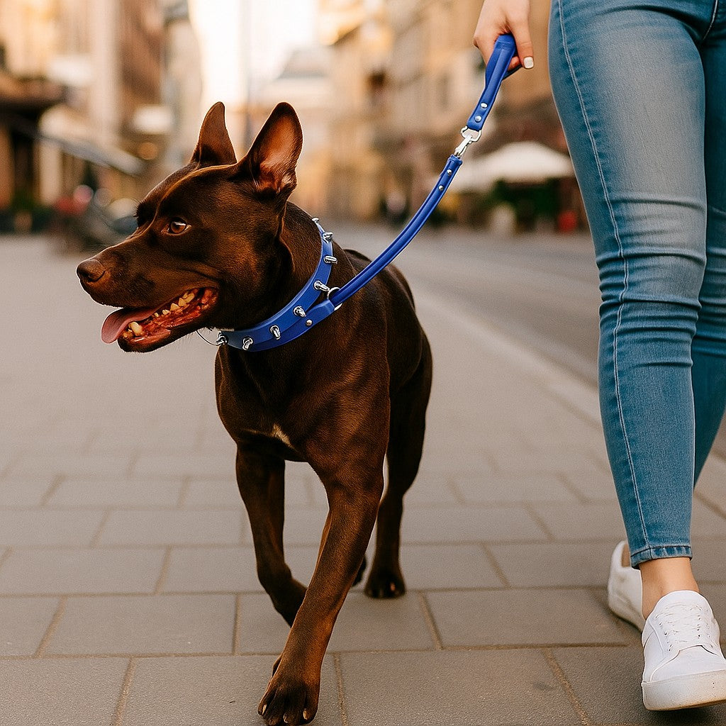 Confort quotidien avec le Collier pour chien - Bandit de Rue™