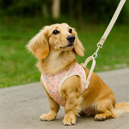 Harnais petit Chien : contrôle doux et balade sereine