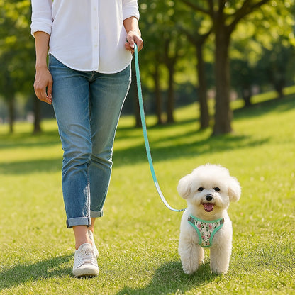 Harnais petit chien | Éclat-Floral™