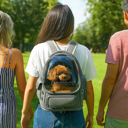 Une Sac transport chien WoufTrip™ fraîcheur bien méritée pour le dos de votre chien… et le vôtre 