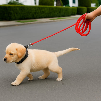 Longe pour chiot : votre allié tout-terrain, toutes activités