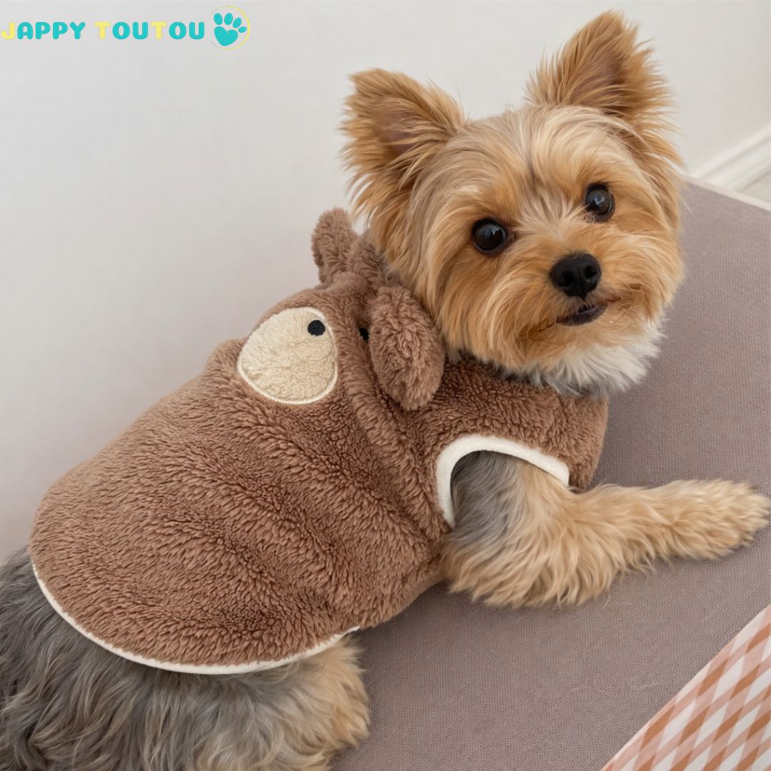Pull pour Chien •	JappySnug™ : Tailles adaptées