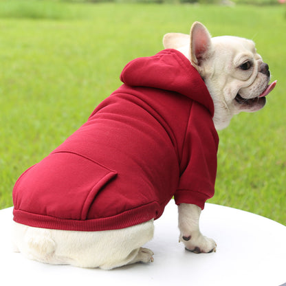 Pull pour chien | JappyMood™ :  Idéal races de petits gabarits