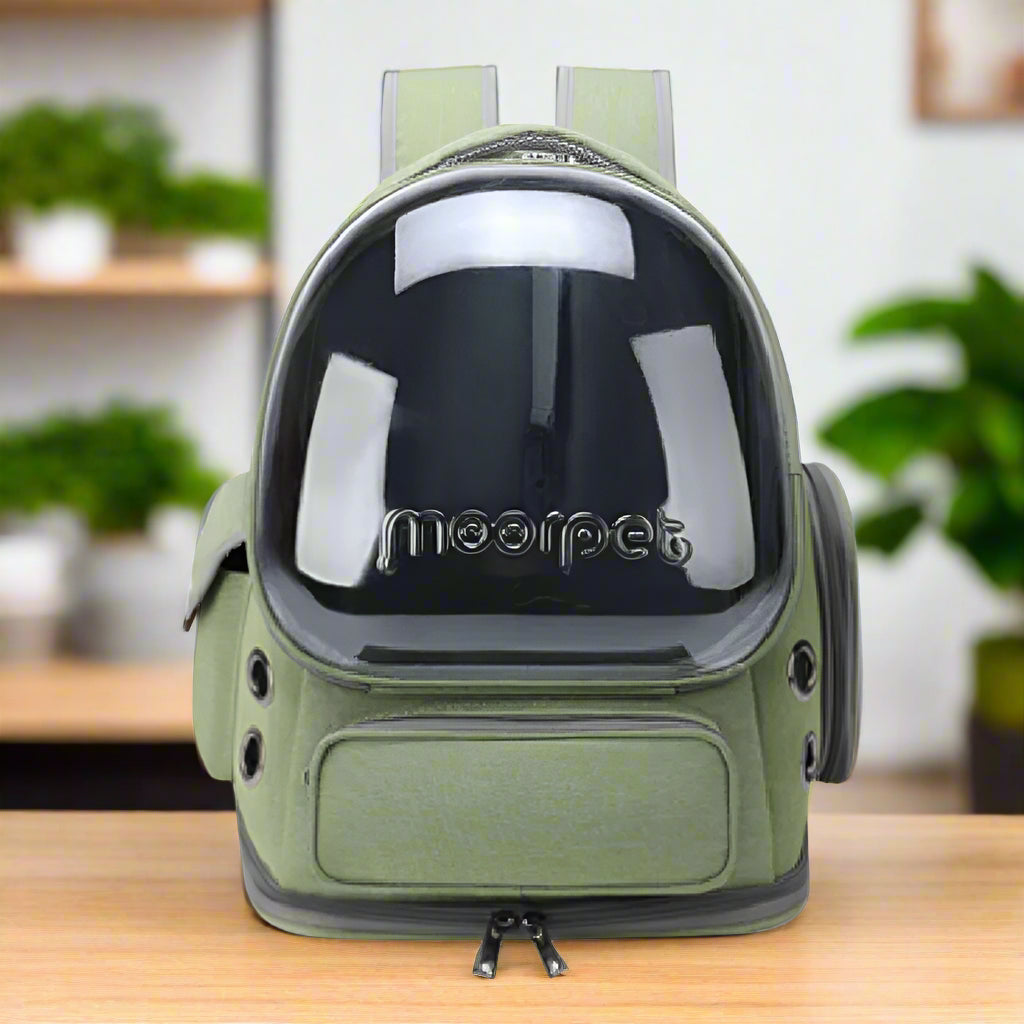 Sac transport chien WoufTrip™: votre compagnon de route tout confort