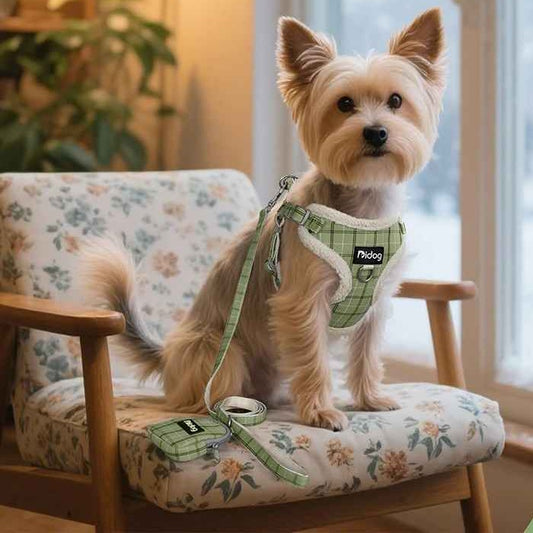 SweetWalk2Chic™ – Harnais petit chien : chaud et confortable pour l’hiver