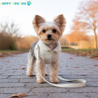 Vêtement chien | JappyFur Comfort™: Matière extérieure: Tissu synthétique résistant