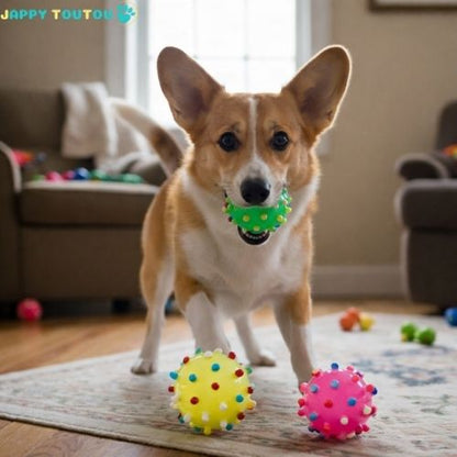 Balle pour Chien | JappyBounce™ - Jappy Toutou