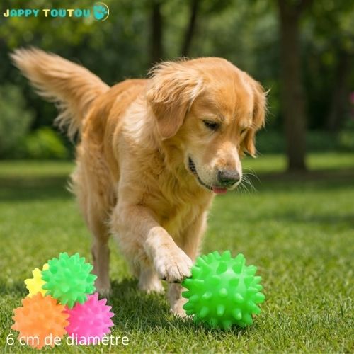 Balle pour Chien | JappyBounce™ - Jappy Toutou