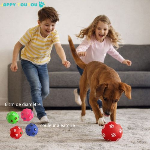Balle pour Chien | JappyBounce2™ - Jappy Toutou
