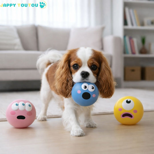 Balle pour Chien | JappyMax™ - Jappy Toutou