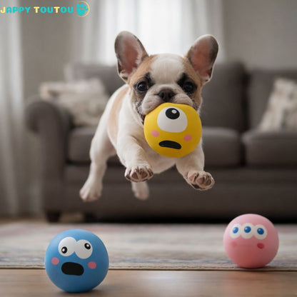 Balle pour Chien | JappyMax™ - Jappy Toutou