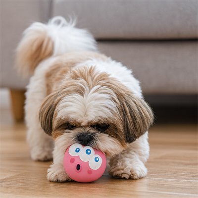 Balle pour Chien | JappyMax™ - Jappy Toutou