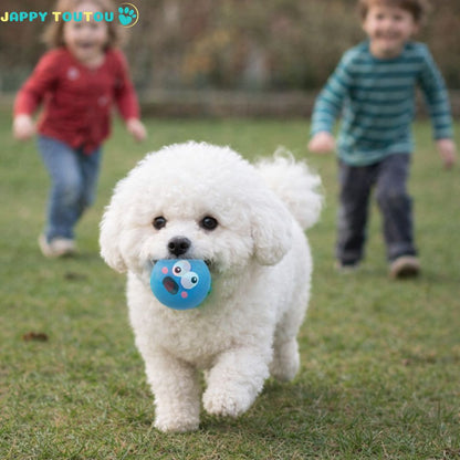 Balle pour Chien | JappyMax™ - Jappy Toutou