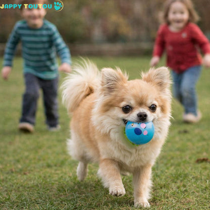 Balle pour Chien | JappyMax™ - Jappy Toutou