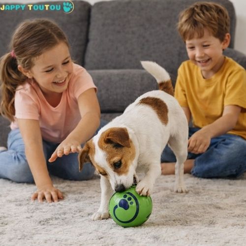 Balle pour Chien | Ultra - Résistante JappyFun™ - Jappy Toutou