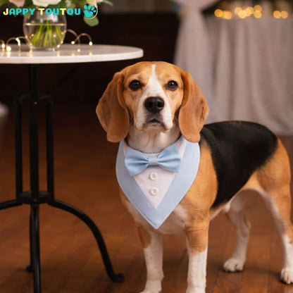Bandana Chien | Élégant JappyFestif™ - Jappy Toutou