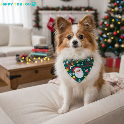 Bandana Chien | FestifBandz™ Égayez le Noël - Jappy Toutou