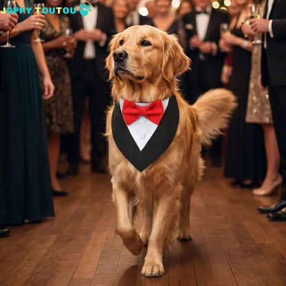 Bandana Chien | JappyFestif3™ Élégant - Jappy Toutou