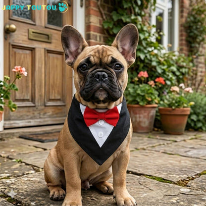 Bandana Chien | JappyFestif3™ Élégant - Jappy Toutou