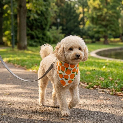 Bandana pour Chien | Élégant JappyBandan'Art™ - Jappy Toutou