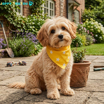 Bandana pour Chien | Élégant JappySunset Paw™ - Jappy Toutou