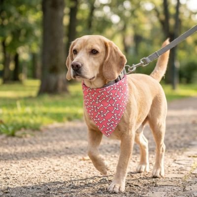 Bandana pour Chien - JappyBandan’Art™ : Tissu léger et décoratif