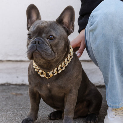 Bandit collier chien-ChicBandit™ : Tendance pour Toutou - Jappy Toutou