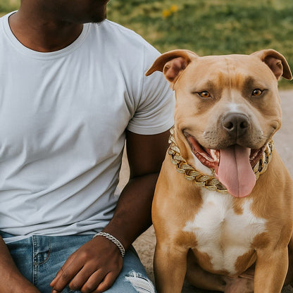 Bandit collier chien-ChicBandit™ : Tendance pour Toutou - Jappy Toutou