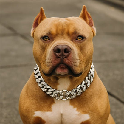 Bandit collier chien-ChicBandit™ : Tendance pour Toutou - Jappy Toutou