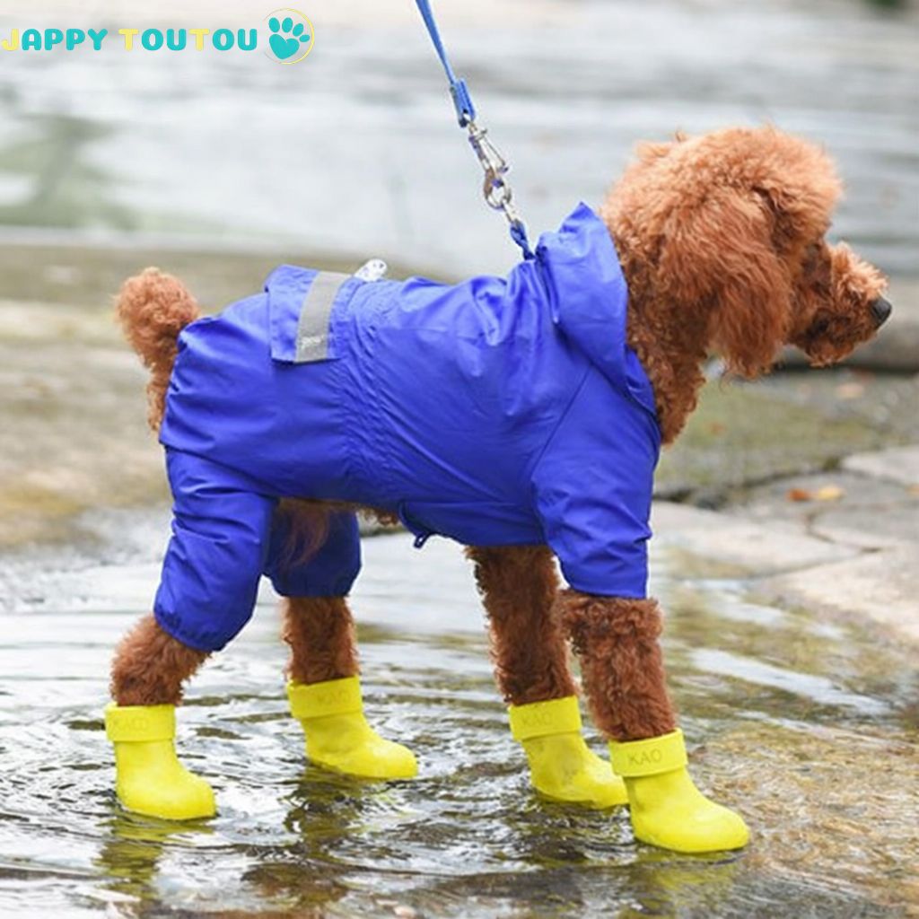 Bottes pour chien | JappyDry2™ - Jappy Toutou