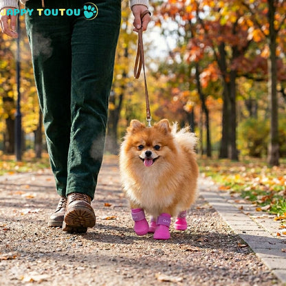 Bottes pour chien | JappyDry2™ - Jappy Toutou