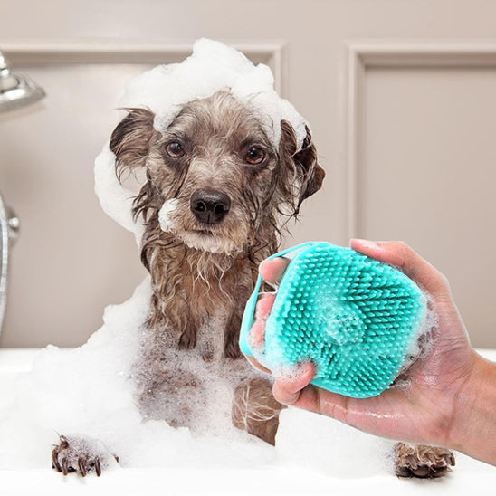 Brosse de bain pour animaux 2 en 1 | chien