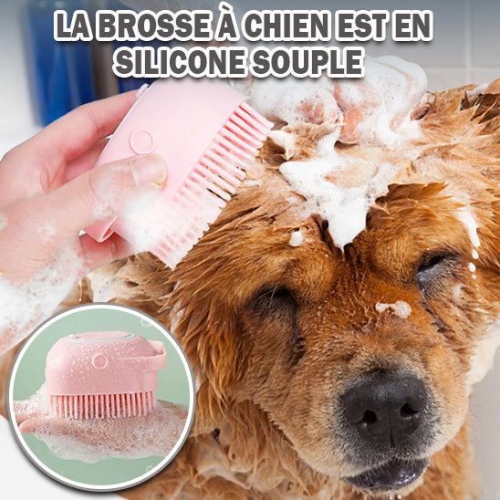 brosse à chien www.JappyToutou.com